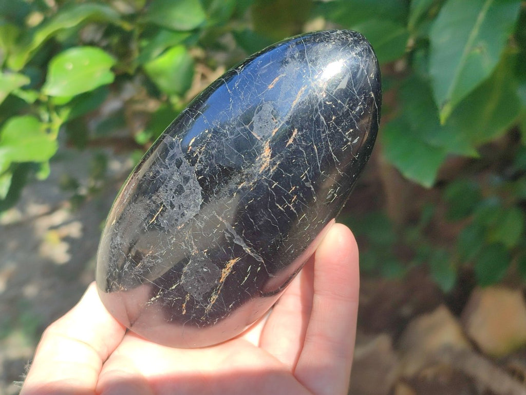 Polished Black Tourmaline Standing Free Forms x 2 From Madagascar - Toprock Gemstones and Minerals 