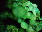 Natural XL Botryoidal Malachite Specimen x 1 From Congo - Toprock Gemstones and Minerals 
