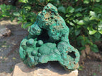Natural XL Botryoidal Malachite Specimen x 1 From Congo - Toprock Gemstones and Minerals 