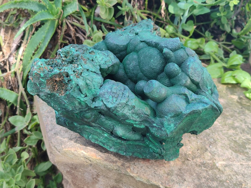 Natural XL Botryoidal Malachite Specimen x 1 From Congo - Toprock Gemstones and Minerals 