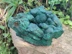 Natural XL Botryoidal Malachite Specimen x 1 From Congo - Toprock Gemstones and Minerals 