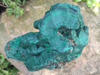 Natural XL Botryoidal Malachite Specimen x 1 From Congo - Toprock Gemstones and Minerals 