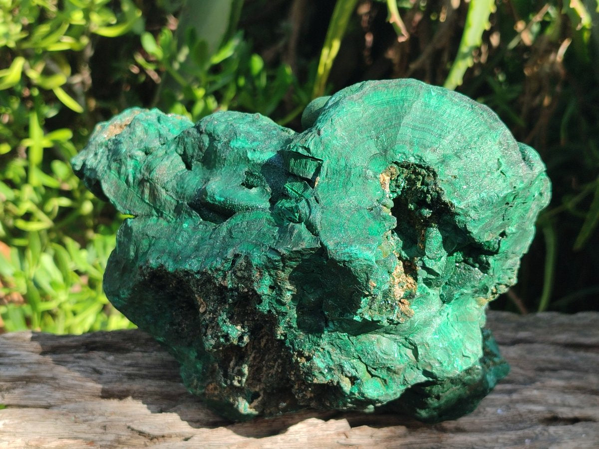 Natural XL Botryoidal Malachite Specimen x 1 From Congo - Toprock Gemstones and Minerals 