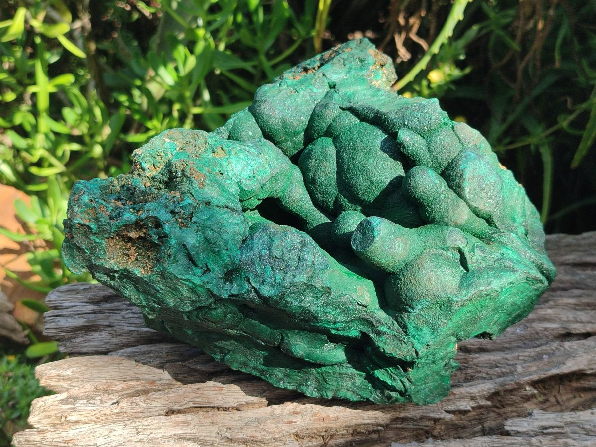 Natural XL Botryoidal Malachite Specimen x 1 From Congo - Toprock Gemstones and Minerals 