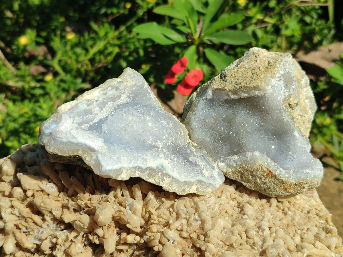 Natural Blue Lace Agate Geode Specimens x 24 From Nsanje, Malawi - Toprock Gemstones and Minerals 