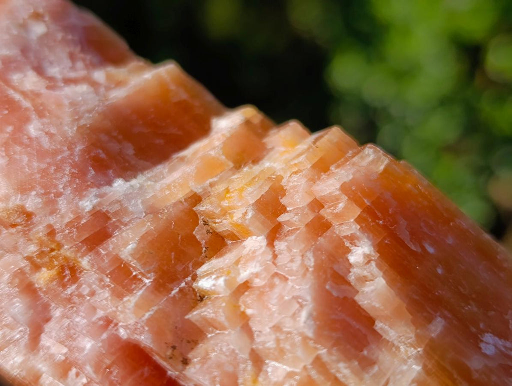 Natural Rhombohedral Sunset Orange Calcite Specimens x 4 From Spitzkop, Namibia - Toprock Gemstones and Minerals 