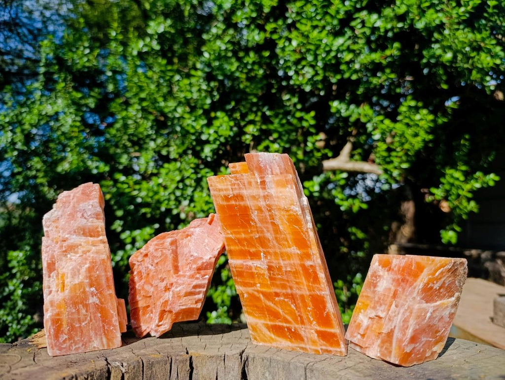Natural Rhombohedral Sunset Orange Calcite Specimens x 4 From Spitzkop, Namibia - Toprock Gemstones and Minerals 