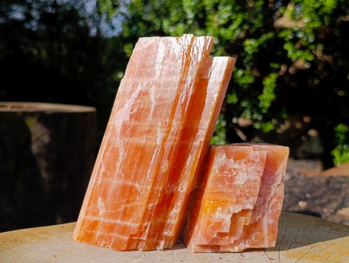 Natural Rhombohedral Sunset Orange Calcite Specimens x 4 From Spitzkop, Namibia - Toprock Gemstones and Minerals 