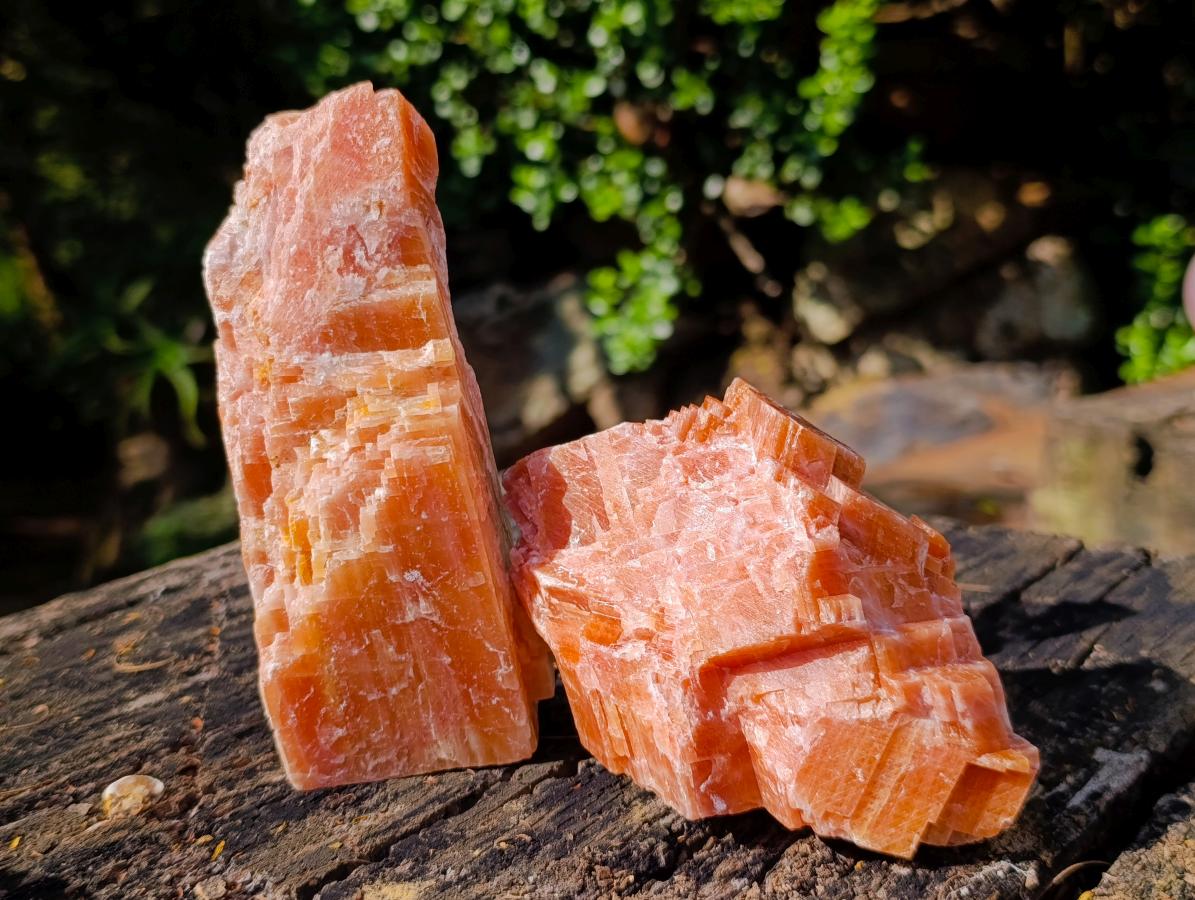 Natural Rhombohedral Sunset Orange Calcite Specimens x 4 From Spitzkop, Namibia - Toprock Gemstones and Minerals 