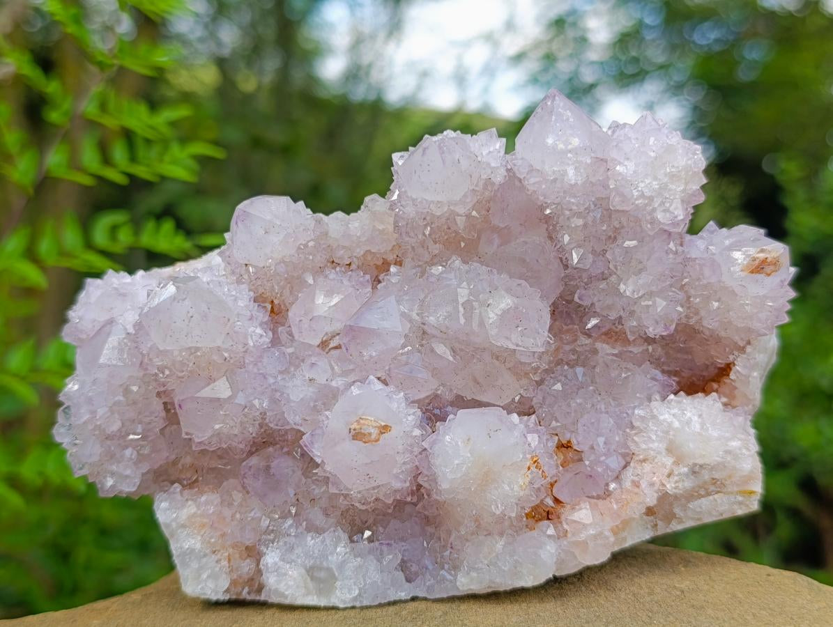 Natural Lilac Spirit Amethyst Clusters x 2 From Boekenhouthoek, South Africa - Toprock Gemstones and Minerals 