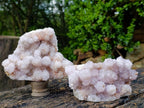 Natural Lilac Spirit Amethyst Clusters x 2 From Boekenhouthoek, South Africa - Toprock Gemstones and Minerals 