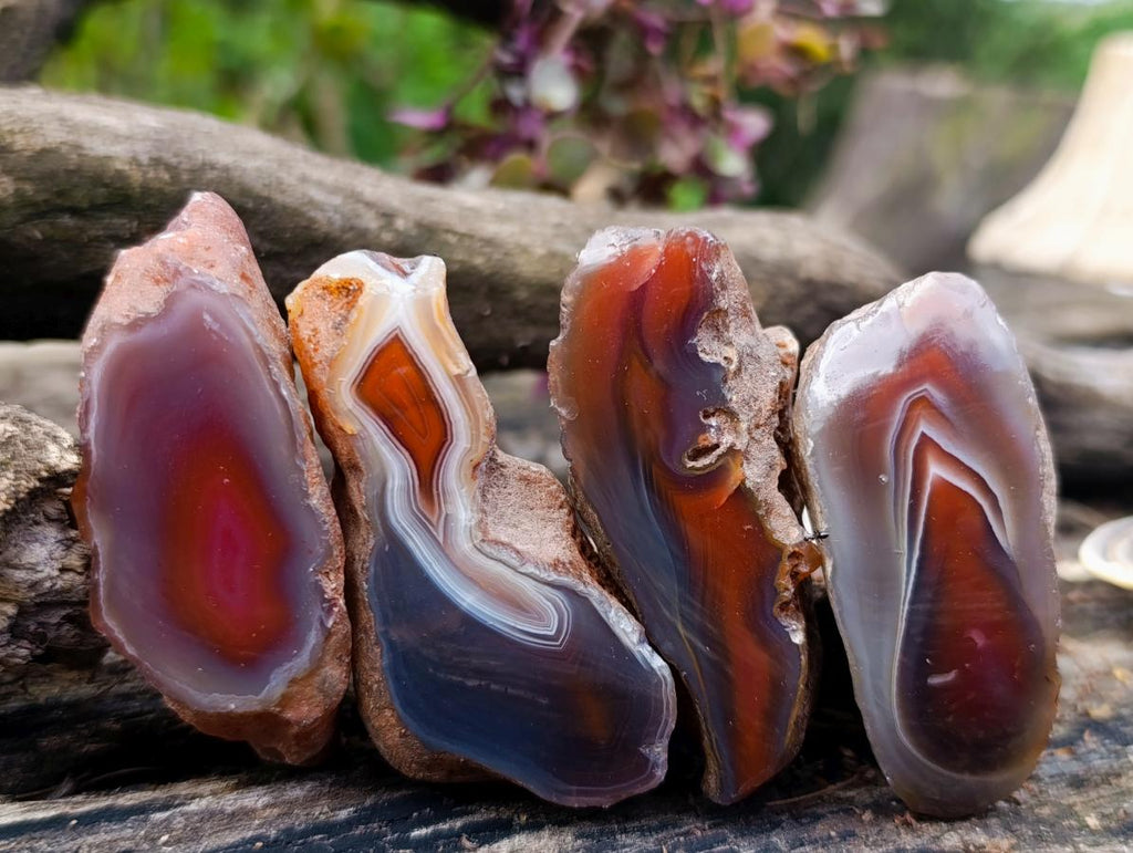 Polished One Side Red Shashe River Agate Nodules x 24 From Shashe River, Zimbabwe - Toprock Gemstones and Minerals 