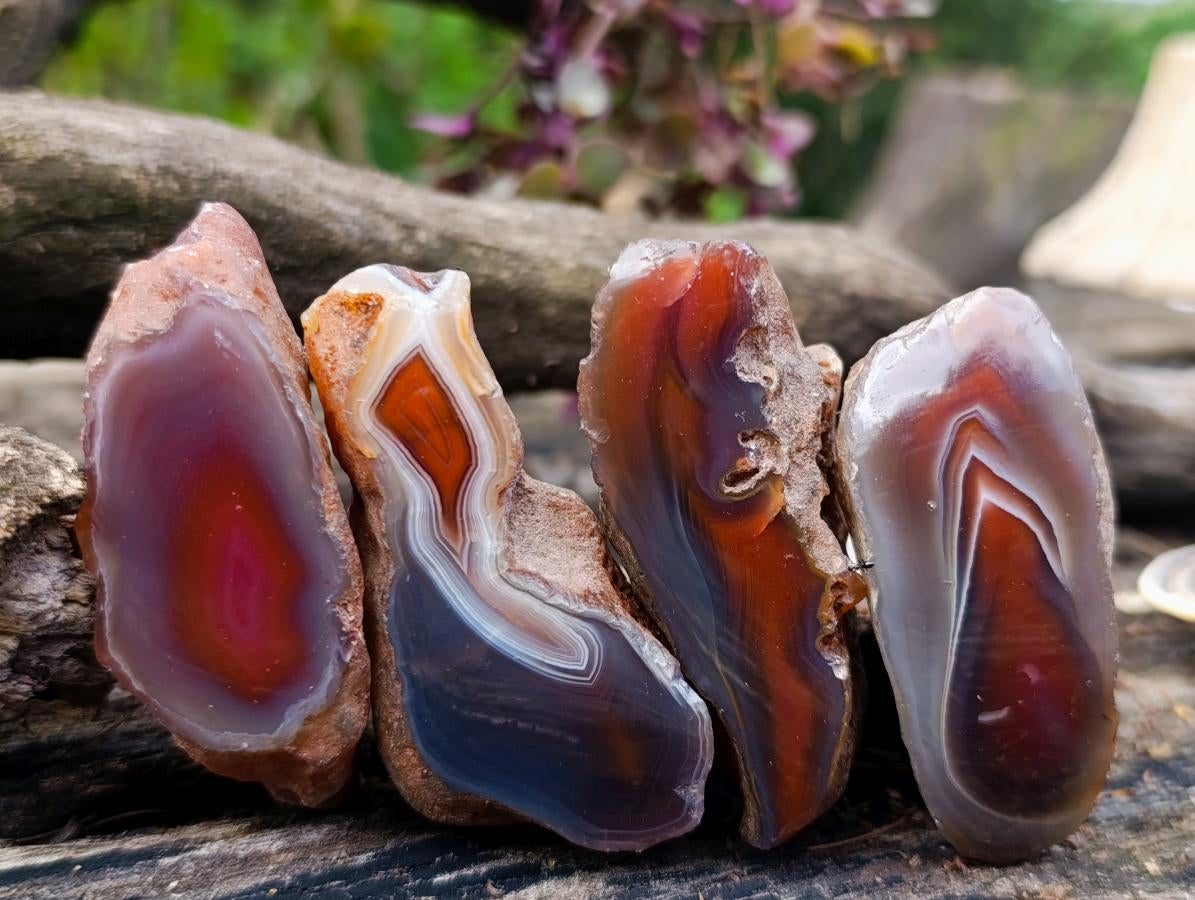 Polished One Side Red Shashe River Agate Nodules x 24 From Shashe River, Zimbabwe - Toprock Gemstones and Minerals 