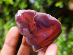 Polished One Side Red Shashe River Agate Nodules x 24 From Shashe River, Zimbabwe - Toprock Gemstones and Minerals 