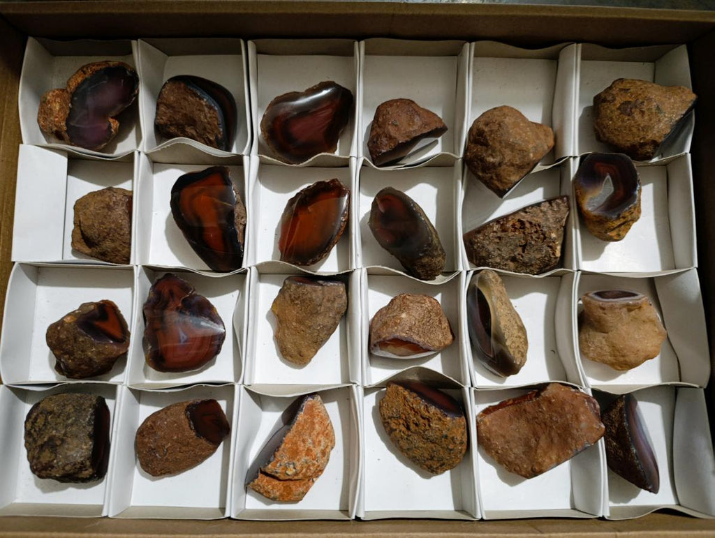 Polished One Side Red Shashe River Agate Nodules x 24 From Shashe River, Zimbabwe - Toprock Gemstones and Minerals 