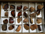 Polished One Side Red Shashe River Agate Nodules x 24 From Shashe River, Zimbabwe - Toprock Gemstones and Minerals 