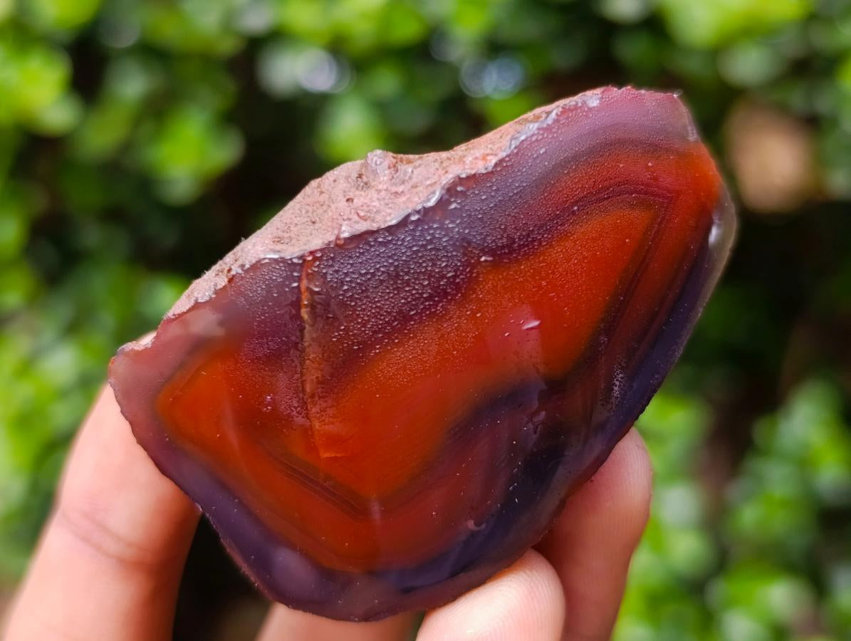 Polished One Side Red Shashe River Agate Nodules x 24 From Shashe River, Zimbabwe - Toprock Gemstones and Minerals 