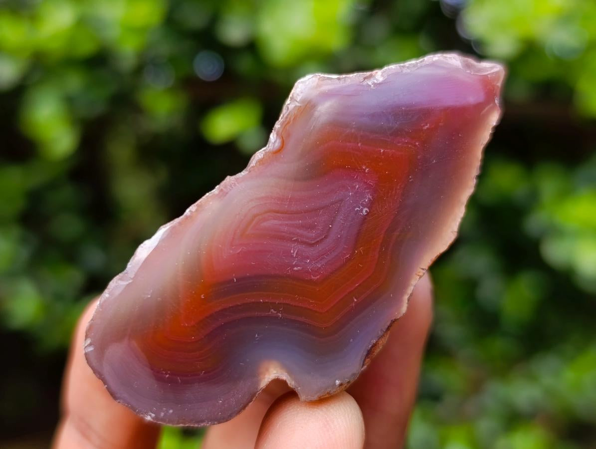 Polished One Side Red Shashe River Agate Nodules x 24 From Shashe River, Zimbabwe - Toprock Gemstones and Minerals 