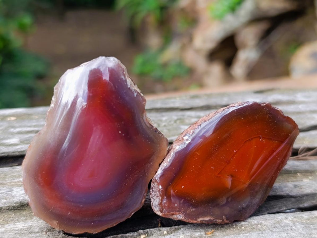 Polished One Side Red Shashe River Agate Nodules x 24 From Shashe River, Zimbabwe - Toprock Gemstones and Minerals 