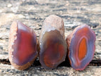 Polished One Side Red Shashe River Agate Nodules x 24 From Shashe River, Zimbabwe - Toprock Gemstones and Minerals 