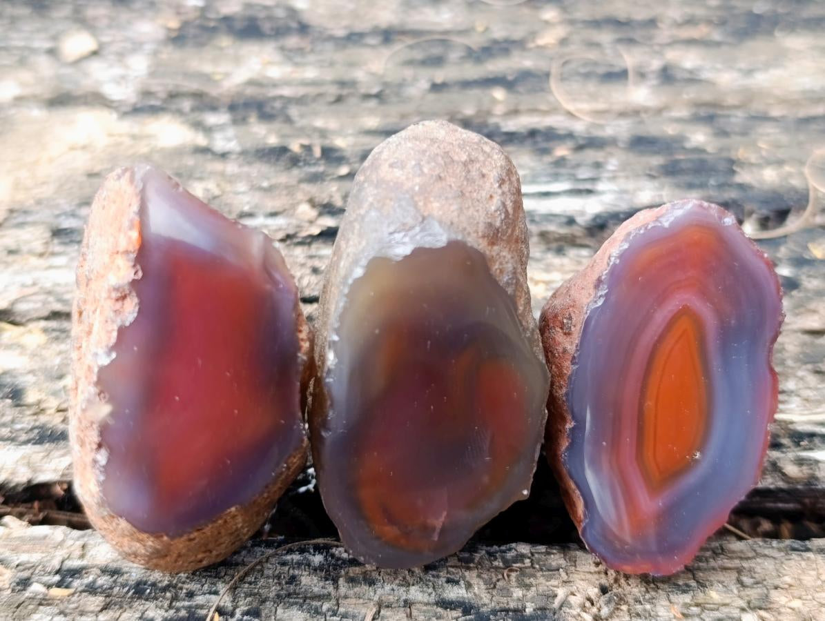 Polished One Side Red Shashe River Agate Nodules x 24 From Shashe River, Zimbabwe - Toprock Gemstones and Minerals 