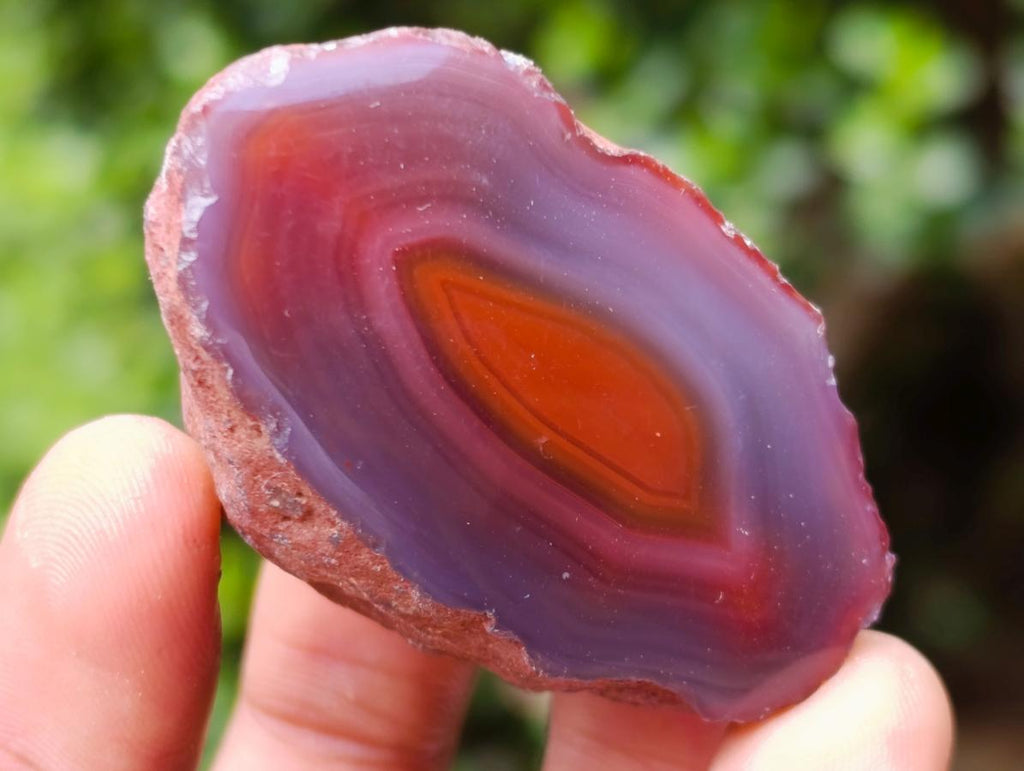 Polished One Side Red Shashe River Agate Nodules x 24 From Shashe River, Zimbabwe - Toprock Gemstones and Minerals 