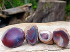 Polished One Side Red Shashe River Agate Nodules x 24 From Shashe River, Zimbabwe - Toprock Gemstones and Minerals 