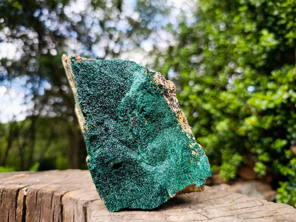 Natural Crystalline Botryoidal Malachite Specimens x 2 From Congo - Toprock Gemstones and Minerals 