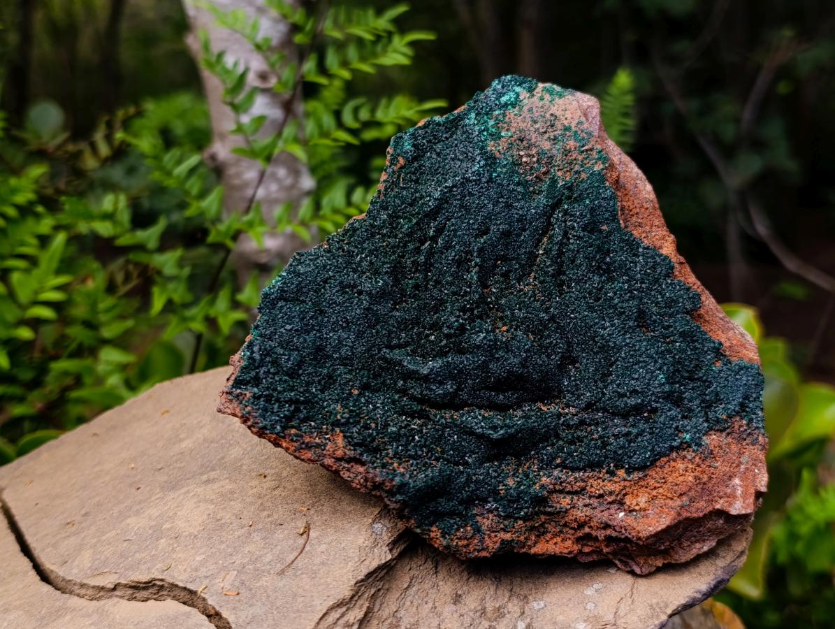 Natural Crystalline Botryoidal Malachite Specimens x 2 From Congo - Toprock Gemstones and Minerals 
