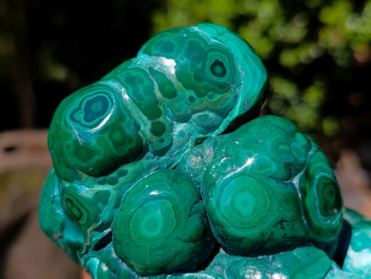 Polished Malacolla Free Forms x 2 From Kulukuluku, Congo - Toprock Gemstones and Minerals 