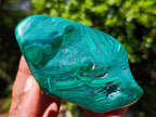 Polished Malacolla Free Forms x 2 From Kulukuluku, Congo - Toprock Gemstones and Minerals 