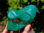 Polished Malacolla Free Forms x 2 From Kulukuluku, Congo - Toprock Gemstones and Minerals 
