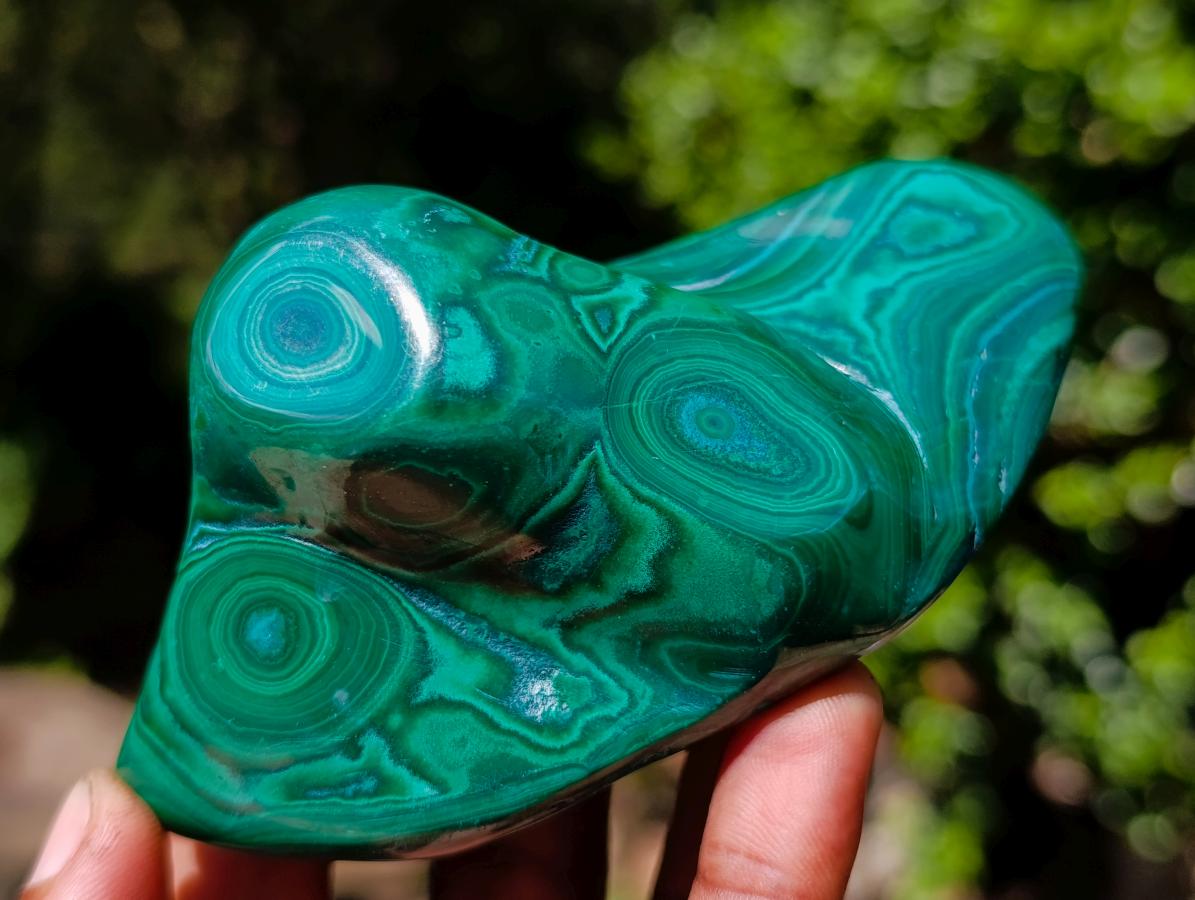 Polished Malacolla Free Forms x 2 From Kulukuluku, Congo - Toprock Gemstones and Minerals 