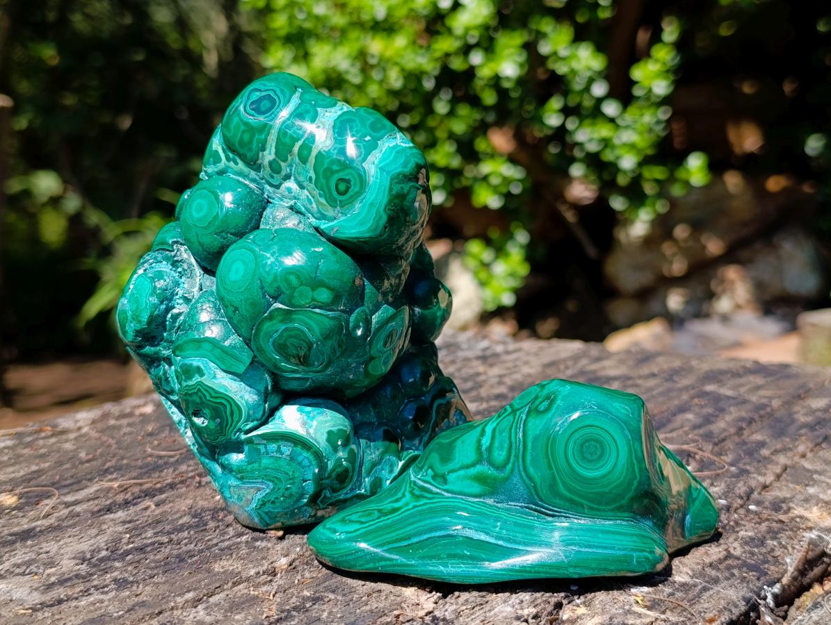 Polished Malacolla Free Forms x 2 From Kulukuluku, Congo - Toprock Gemstones and Minerals 
