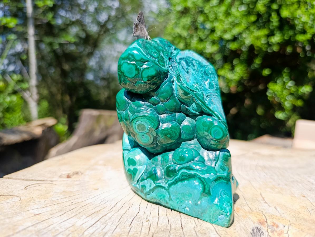 Polished Malacolla Free Forms x 2 From Kulukuluku, Congo - Toprock Gemstones and Minerals 