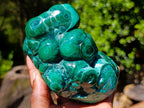 Polished Malacolla Free Forms x 2 From Kulukuluku, Congo - Toprock Gemstones and Minerals 