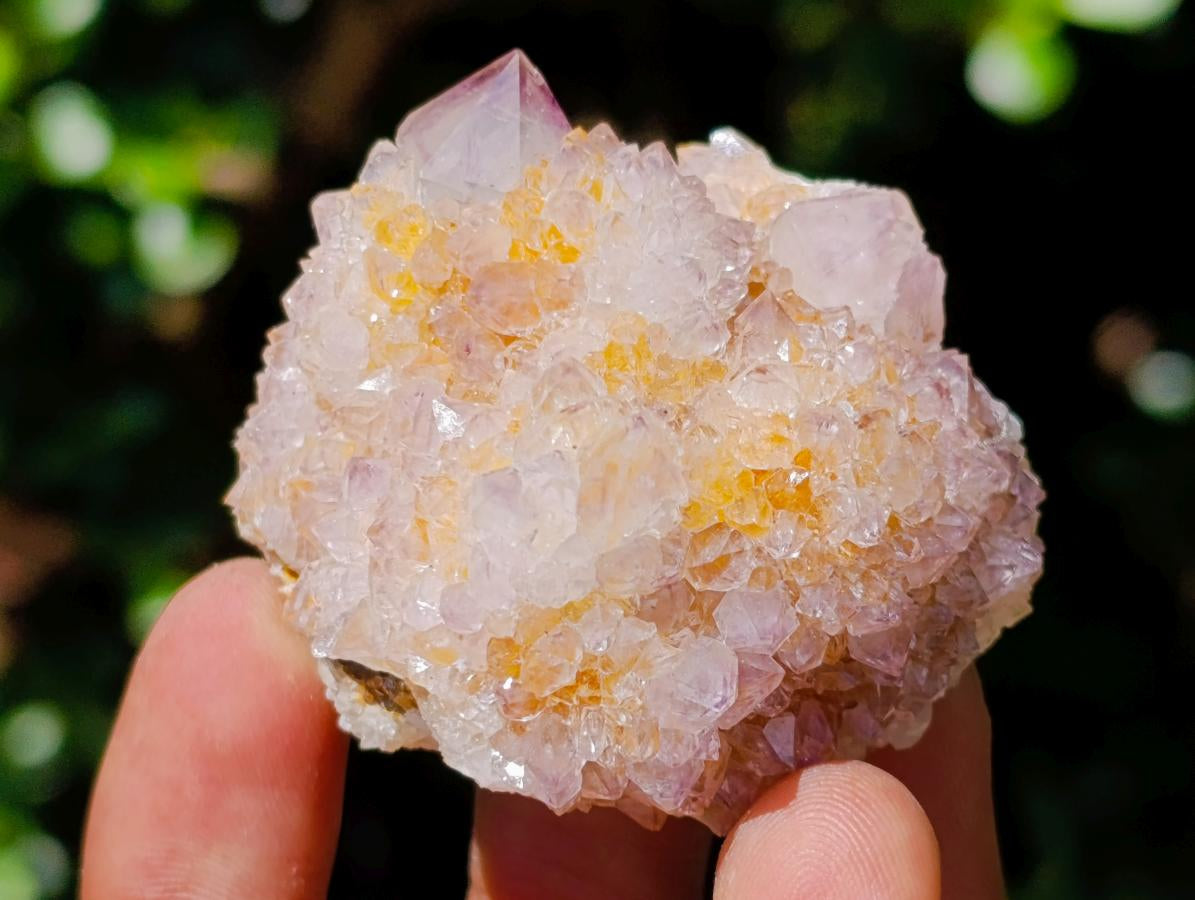Natural Cactus Flower Smokey Spirit Amethyst Clusters x 12 From South Africa - Toprock Gemstones and Minerals 