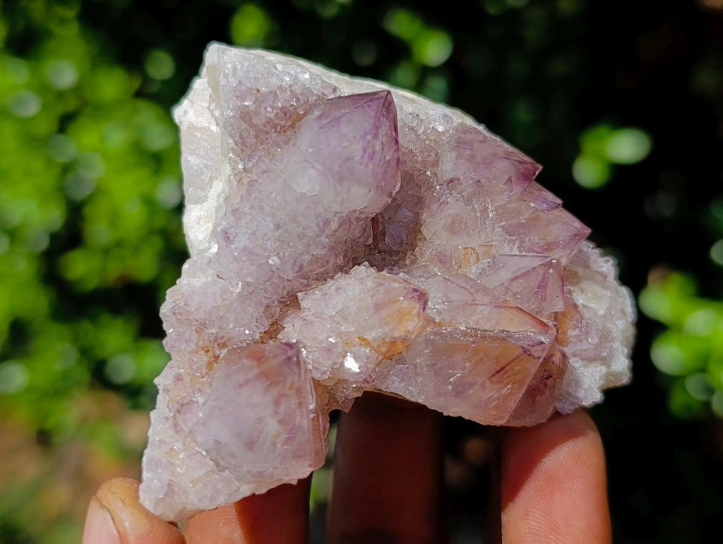 Natural Cactus Flower Smokey Spirit Amethyst Clusters x 12 From South Africa - Toprock Gemstones and Minerals 