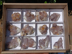 Natural Cactus Flower Smokey Spirit Amethyst Clusters x 12 From South Africa - Toprock Gemstones and Minerals 