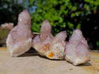 Natural Cactus Flower Smokey Spirit Amethyst Clusters x 12 From South Africa - Toprock Gemstones and Minerals 