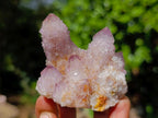 Natural Cactus Flower Smokey Spirit Amethyst Clusters x 12 From South Africa - Toprock Gemstones and Minerals 
