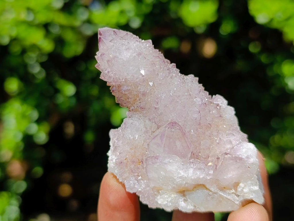 Natural Cactus Flower Smokey Spirit Amethyst Clusters x 12 From South Africa - Toprock Gemstones and Minerals 