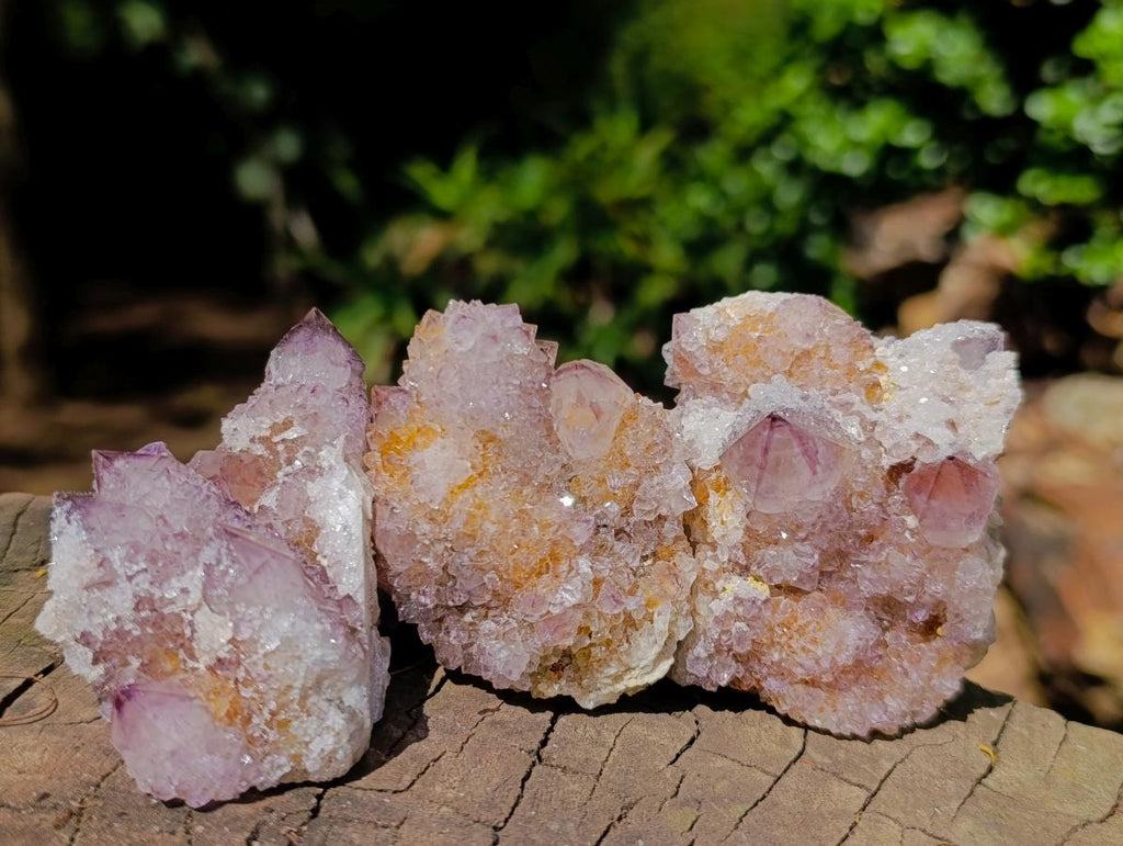 Natural Cactus Flower Smokey Spirit Amethyst Clusters x 12 From South Africa - Toprock Gemstones and Minerals 