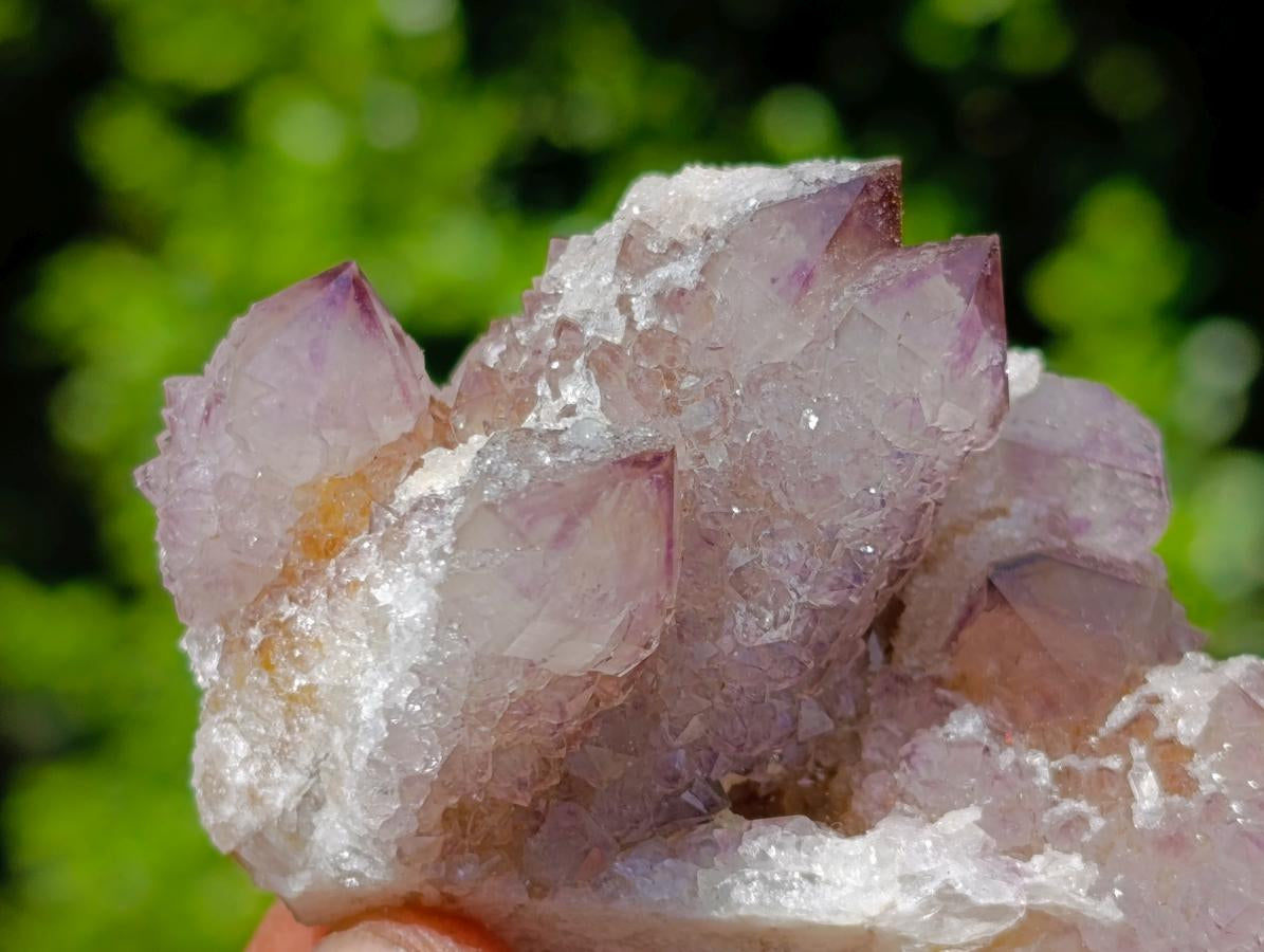 Natural Cactus Flower Smokey Spirit Amethyst Clusters x 12 From South Africa - Toprock Gemstones and Minerals 