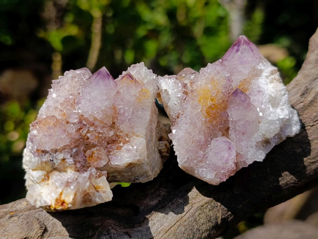 Natural Cactus Flower Smokey Spirit Amethyst Clusters x 12 From South Africa - Toprock Gemstones and Minerals 