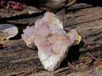 Natural Cactus Flower Smokey Spirit Amethyst Clusters x 12 From South Africa - Toprock Gemstones and Minerals 