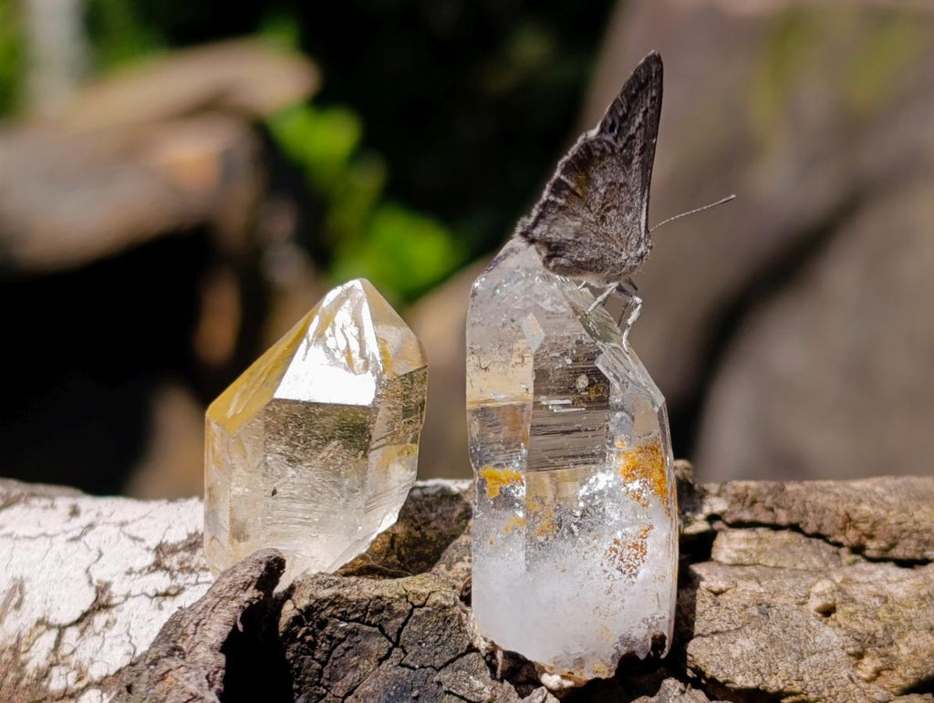 Natural Mix of Small Brandberg Crystals and Clusters x 35 From Brandberg, Namibia - Toprock Gemstones and Minerals 