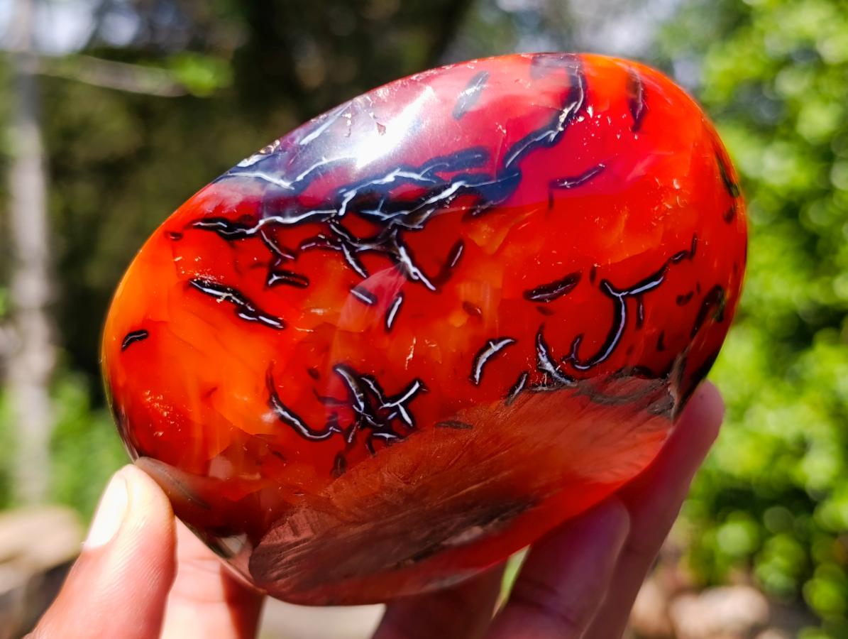 Polished Carnelian Agate Gemstone Bowls x 6 From Madagascar - Toprock Gemstones and Minerals 
