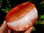 Polished Carnelian Agate Gemstone Bowls x 6 From Madagascar - Toprock Gemstones and Minerals 