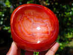 Polished Carnelian Agate Gemstone Bowls x 6 From Madagascar - Toprock Gemstones and Minerals 